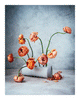 Perfectionism | Flower Print | Elena Dragoi