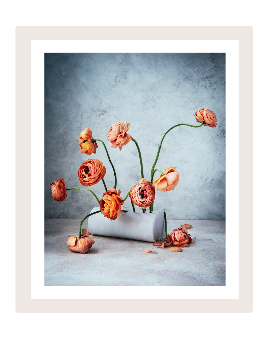 Perfectionism | Flower Art Prints | Elena Dragoi