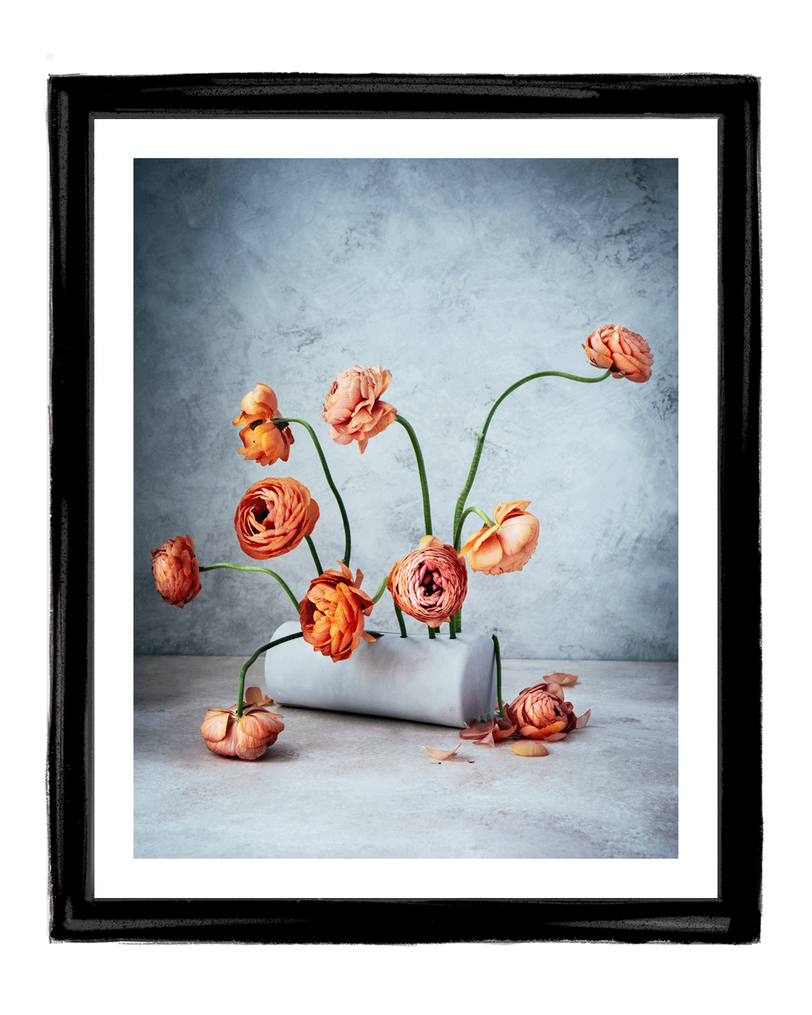 Perfectionism | Fine Art Flower Photography | Elena Dragoi