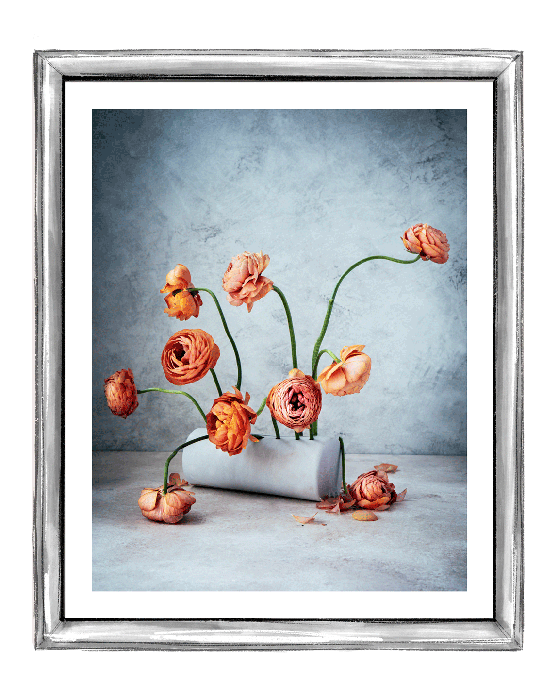 Perfectionism | Fine Art Flower Photography | Elena Dragoi