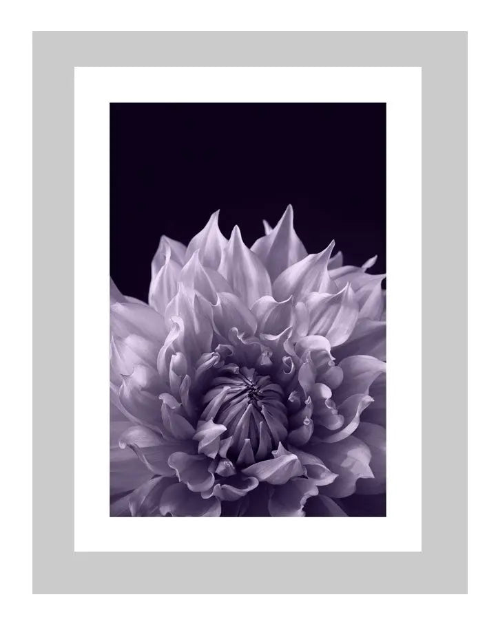 Permission  | custom floral art cards | art postcards | flower prints | ELENA DRAGOI