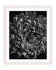 Reborn - flower art prints ELENA DRAGOI