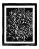 Reborn - flower art prints ELENA DRAGOI