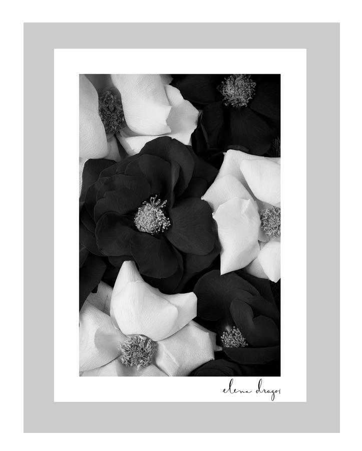 Roses are Forever - floral art cards | flower postcards | ELENA DRAGOI