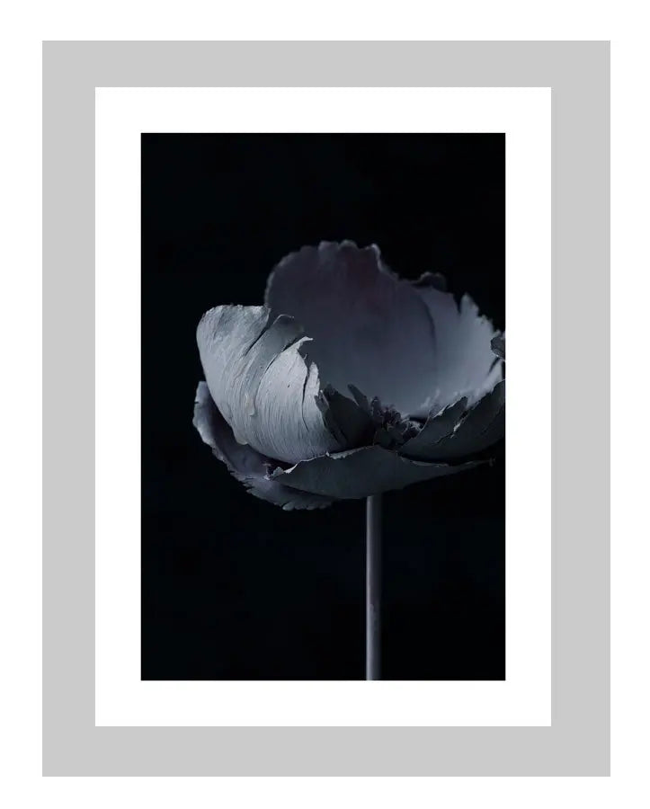 Serenity | custom floral art cards | art postcards | flower prints | ELENA DRAGOI
