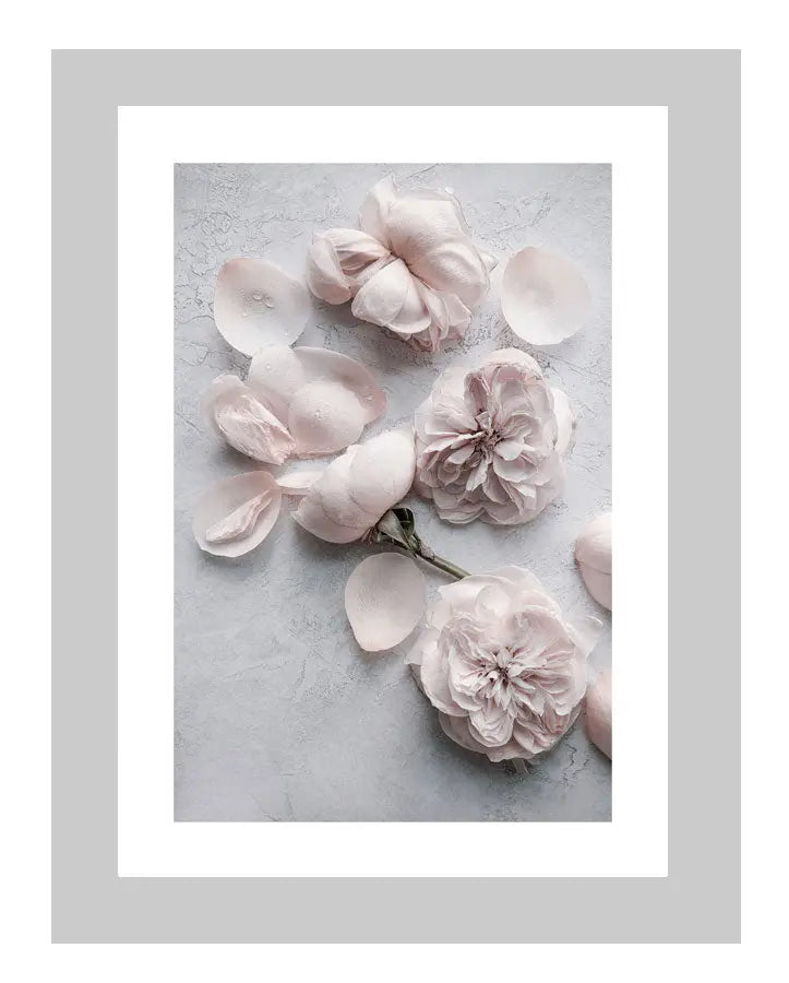 Silken Petals | custom floral art cards | art postcards | flower prints | ELENA DRAGOI