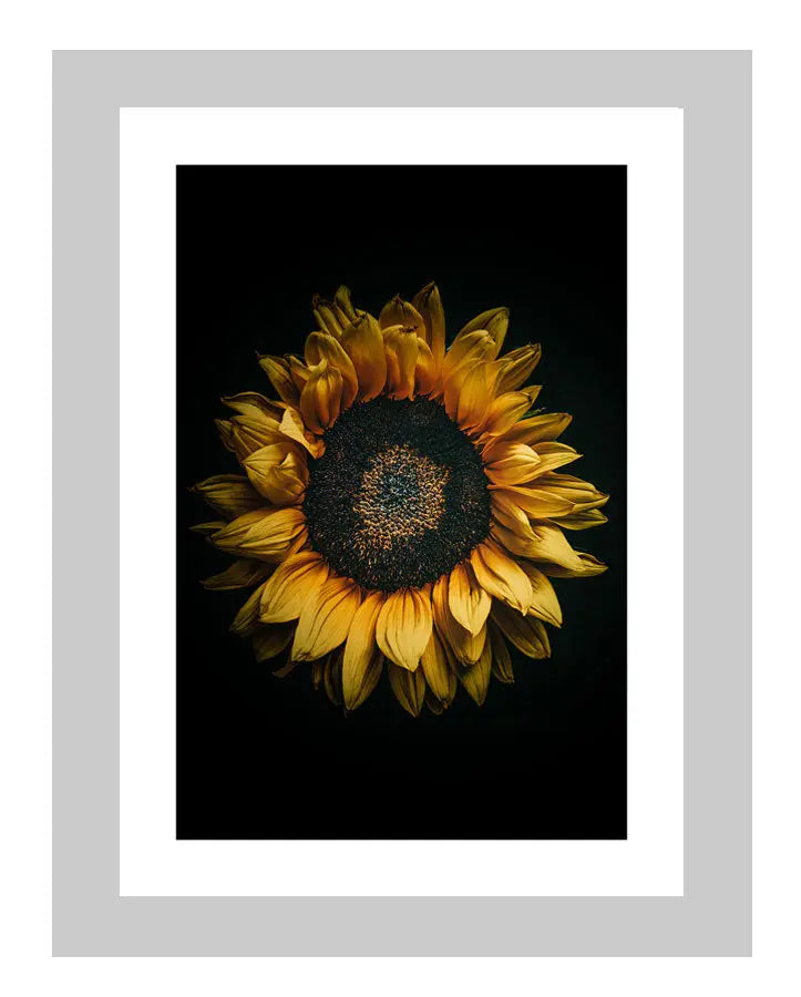 Golden Hour, custom floral art cards, art postcards, perfect gifts