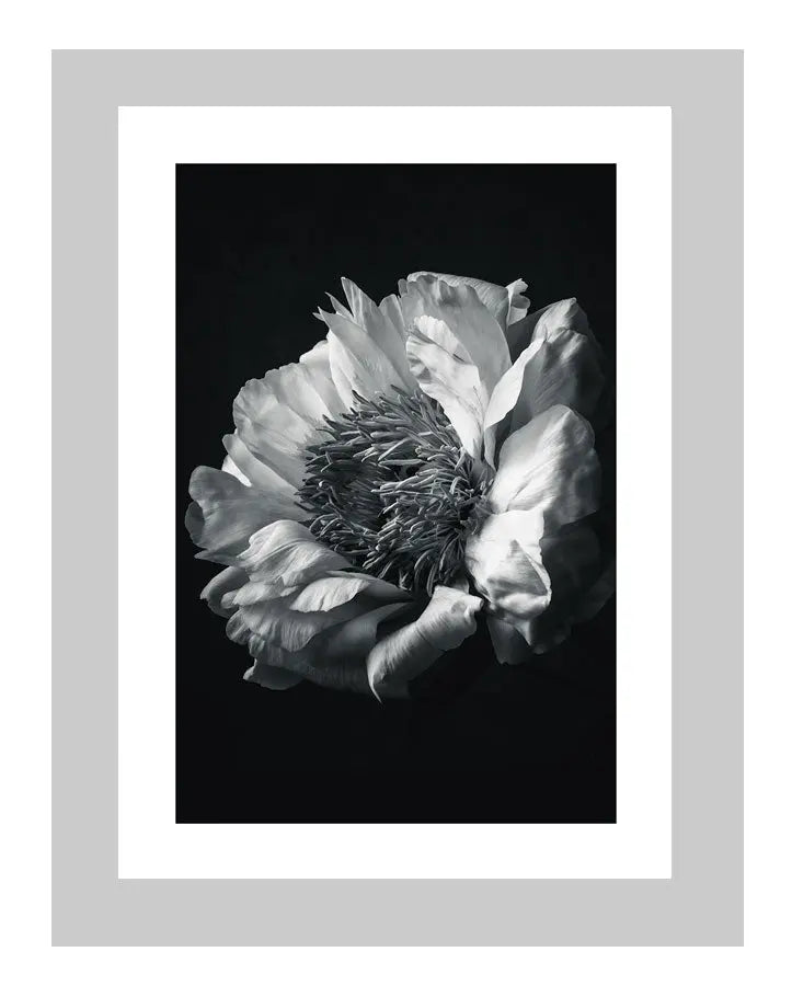 The Grace of Peony | custom floral art cards | art postcards | flower prints | ELENA DRAGOI