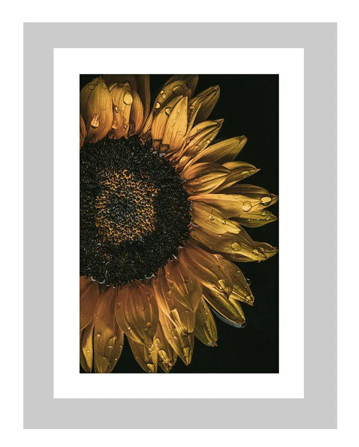 The Language of Bliss | custom floral art cards | art postcards | flower prints | ELENA DRAGOI