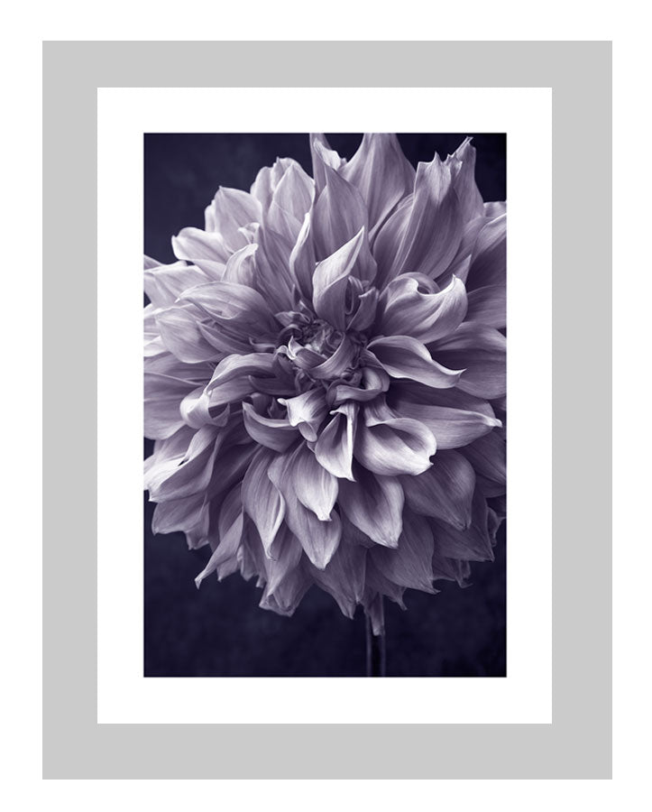 The Art of Listening | custom floral art cards | art postcards | flower prints | ELENA DRAGOI