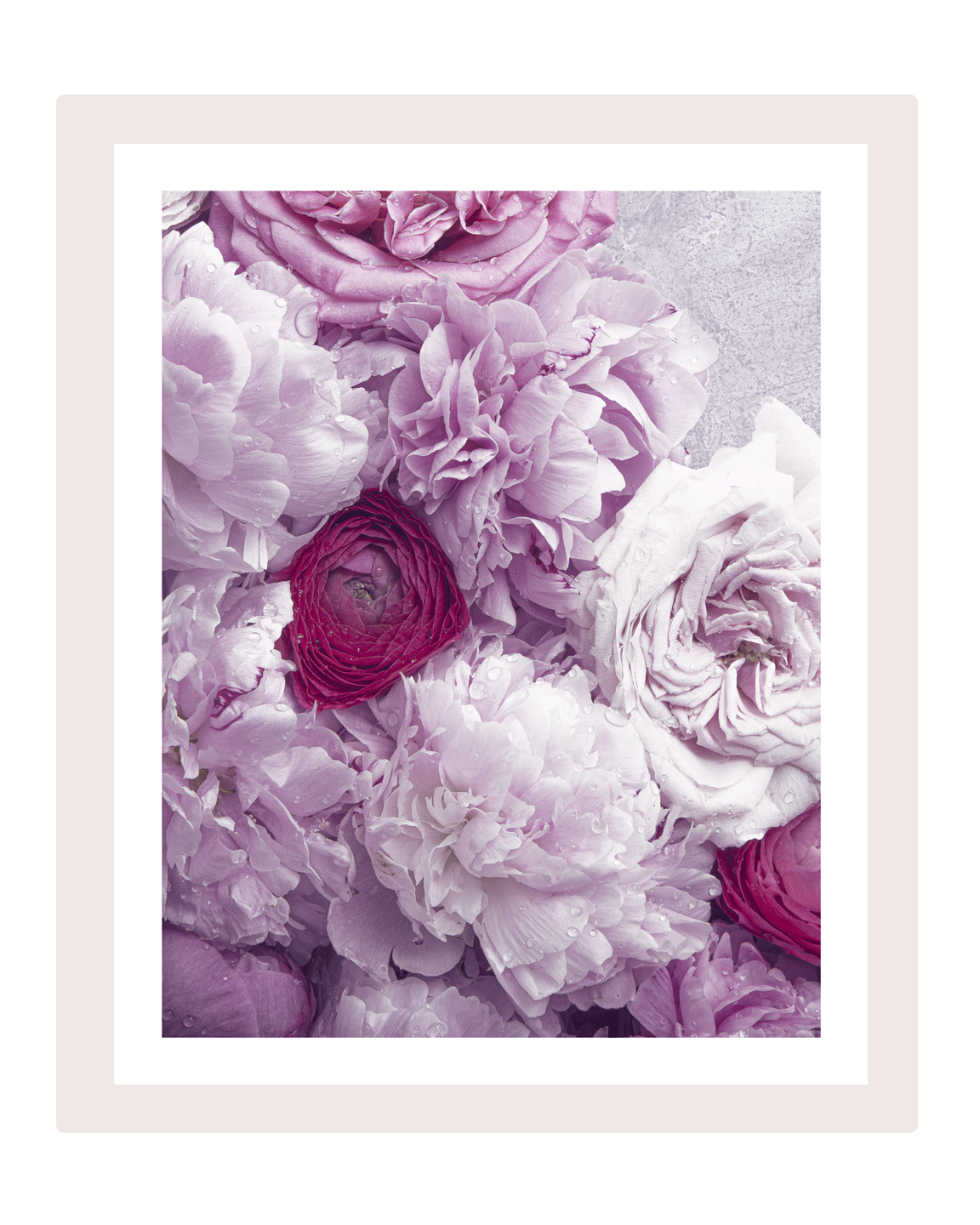 The Color of Loving - flower art prints
