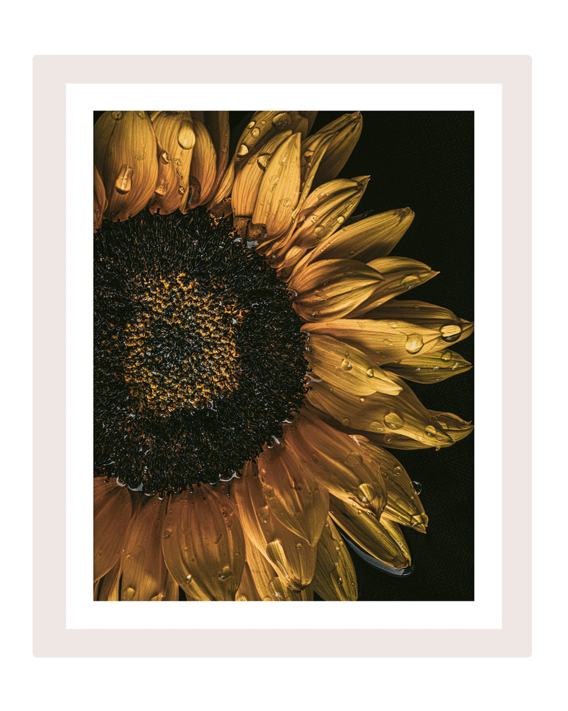 The Language of Bliss | Sunflower Art Prints | Elena Dragoi