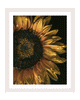 The Language of Bliss | Sunflower Art Prints | Elena Dragoi