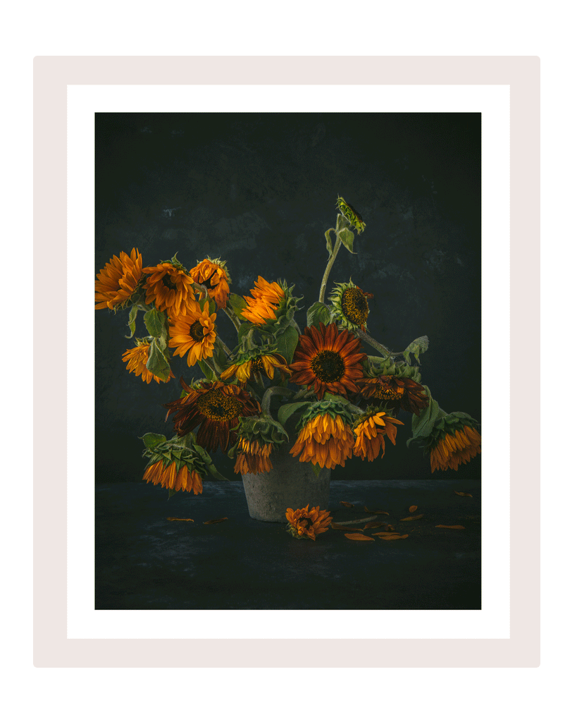 The Melody of Flowers II Sunflower Art Prints | Elena Dragoi