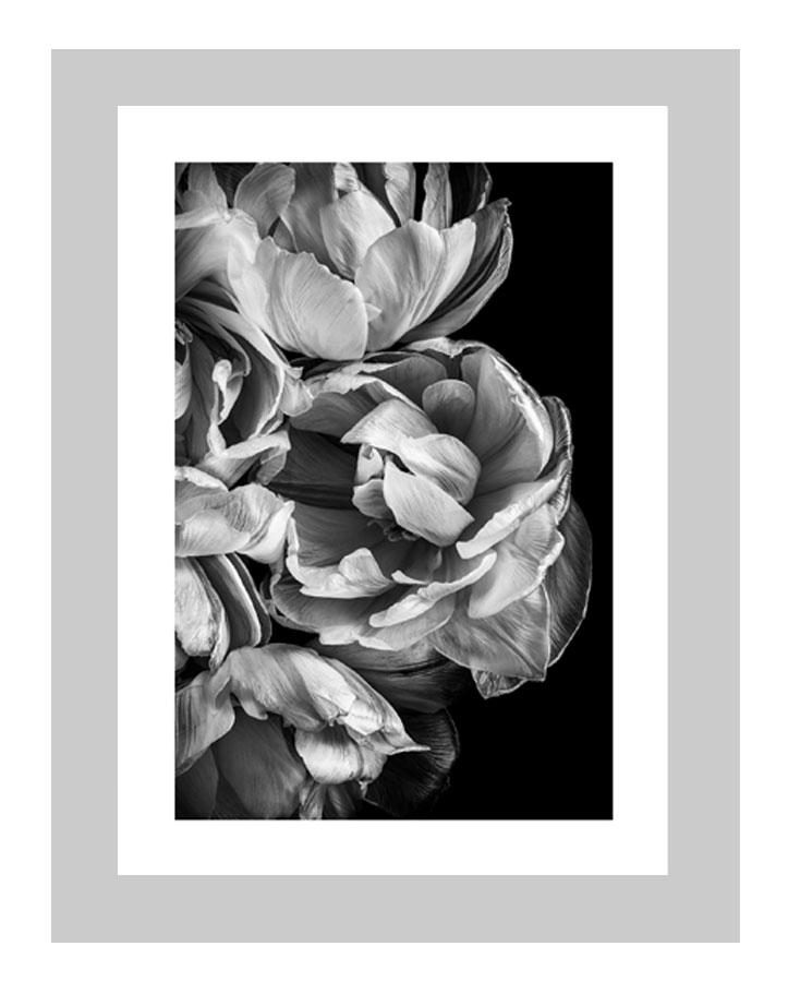 Timeless Love | custom floral art cards | art postcards | flower prints | ELENA DRAGOI