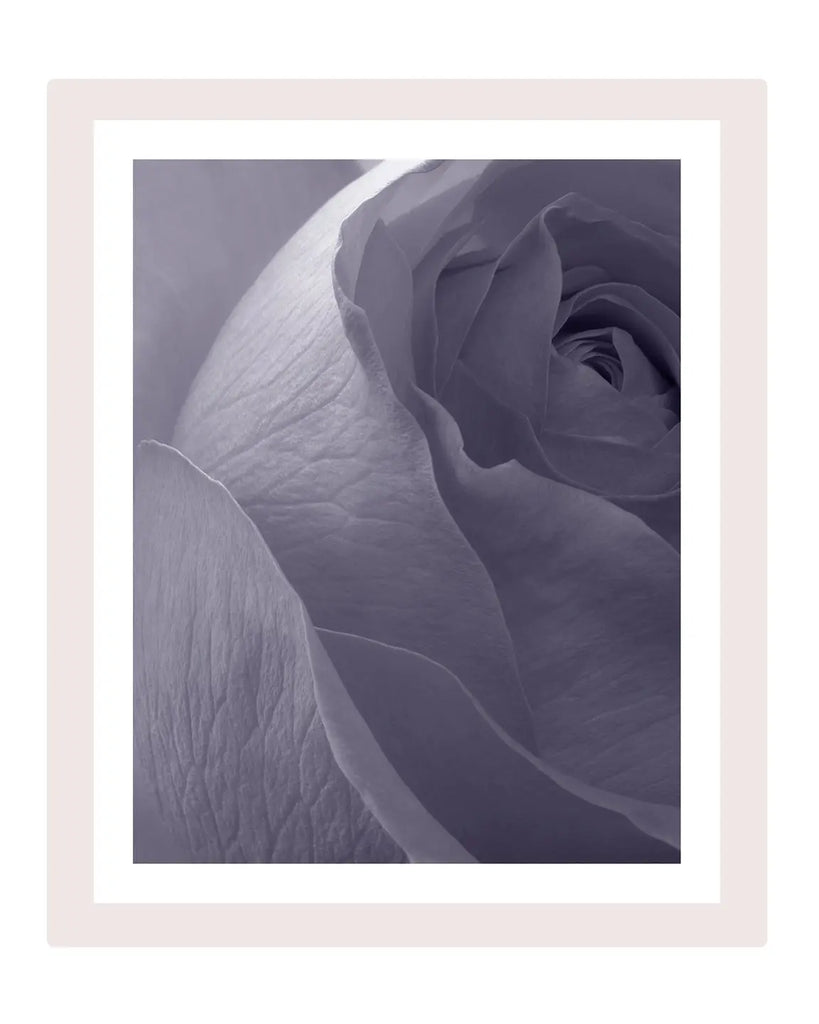 Violet Dusk - flower art prints ELENA DRAGOI